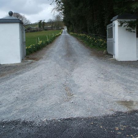 Grove Farm House Bed and Breakfast Inistioge Buitenkant foto